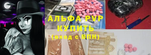 прущие грибы Кодинск
