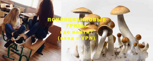 прущие грибы Кодинск