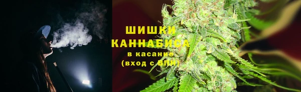 прущие грибы Кодинск