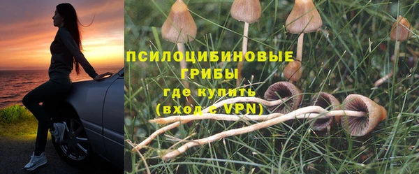 шишки Козловка