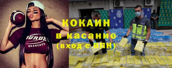 шишки Козловка