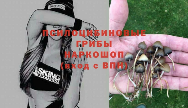 шишки Козловка